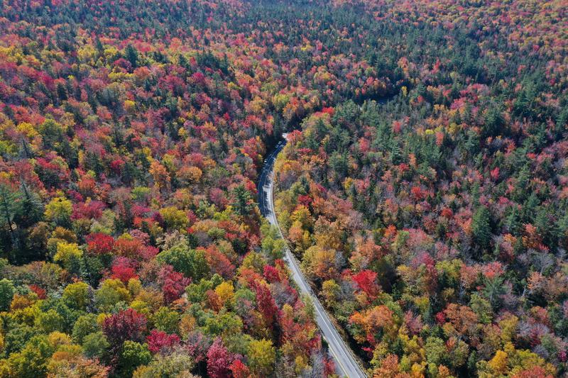 New Hampshire