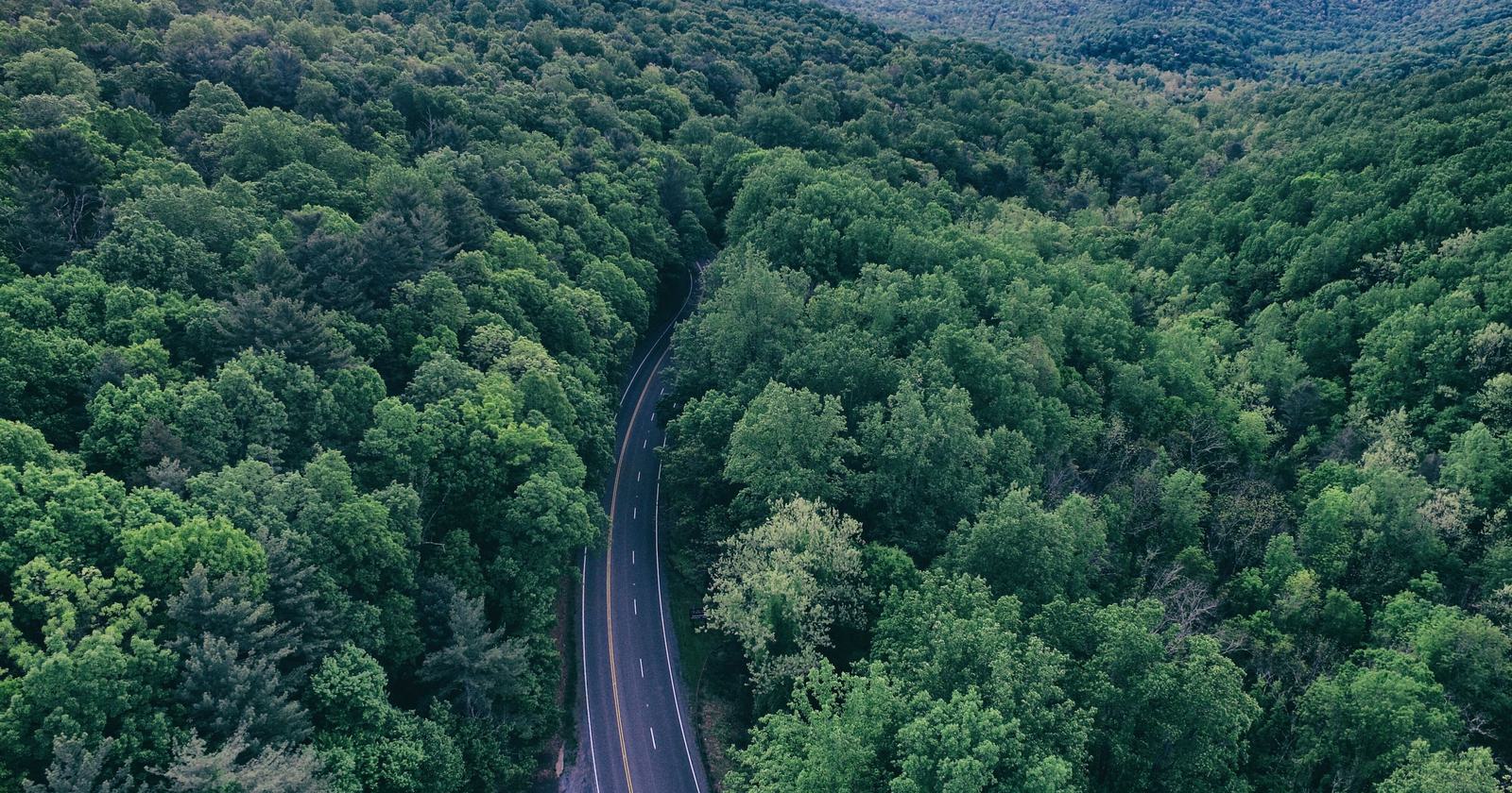 Marathons | Virginia | 2026 - 2027 | Find A Race