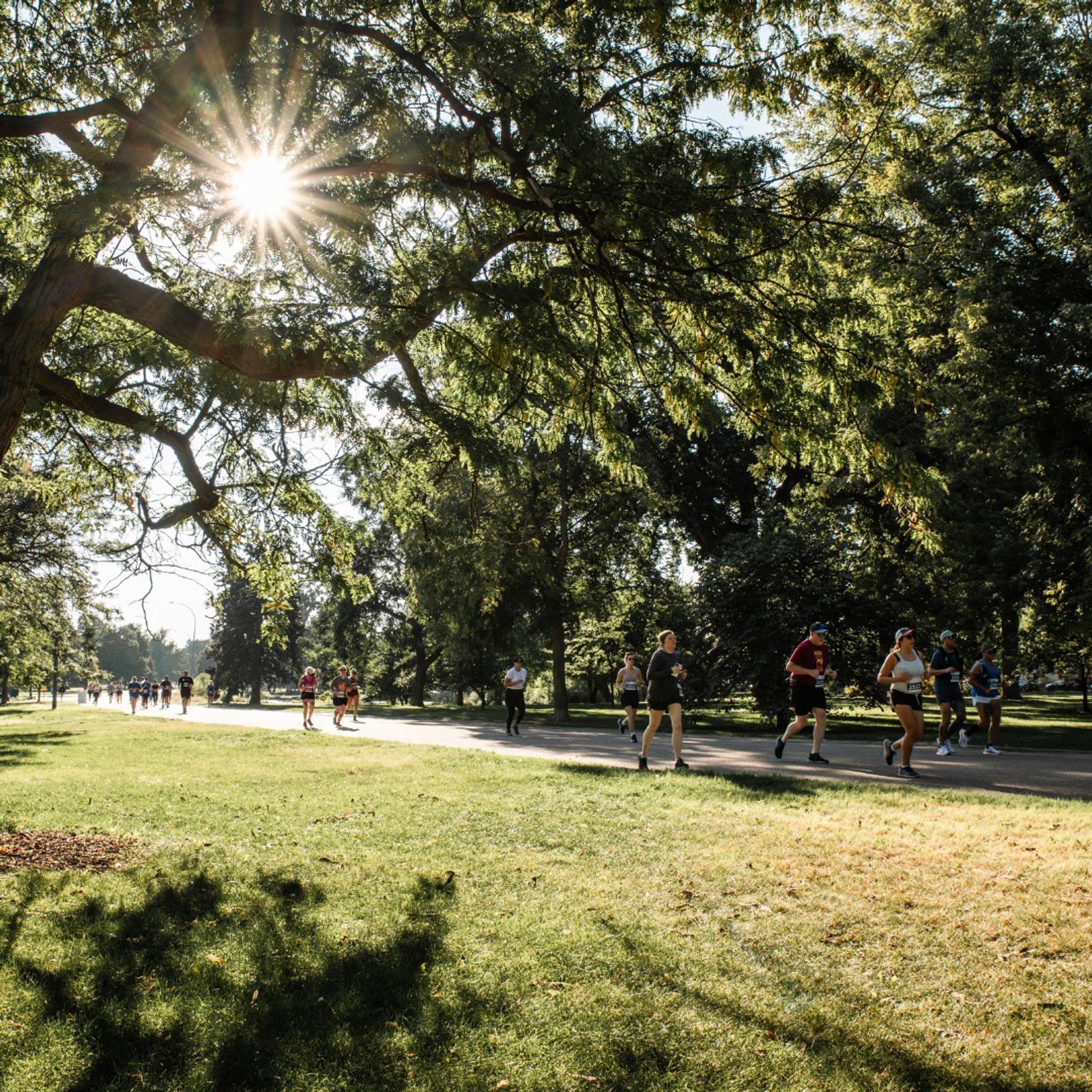 Runners jog along a sunlit path in a park, with sunlight streaming through the branches of a large tree and people enjoying the green, grassy area in the background.