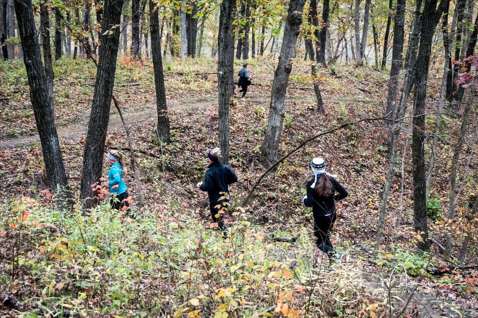 Four people jogging through a forested trail in autumn, surrounded by tall trees and fallen leaves. The scene is serene, with a mix of green and brown foliage, creating a natural and peaceful atmosphere.