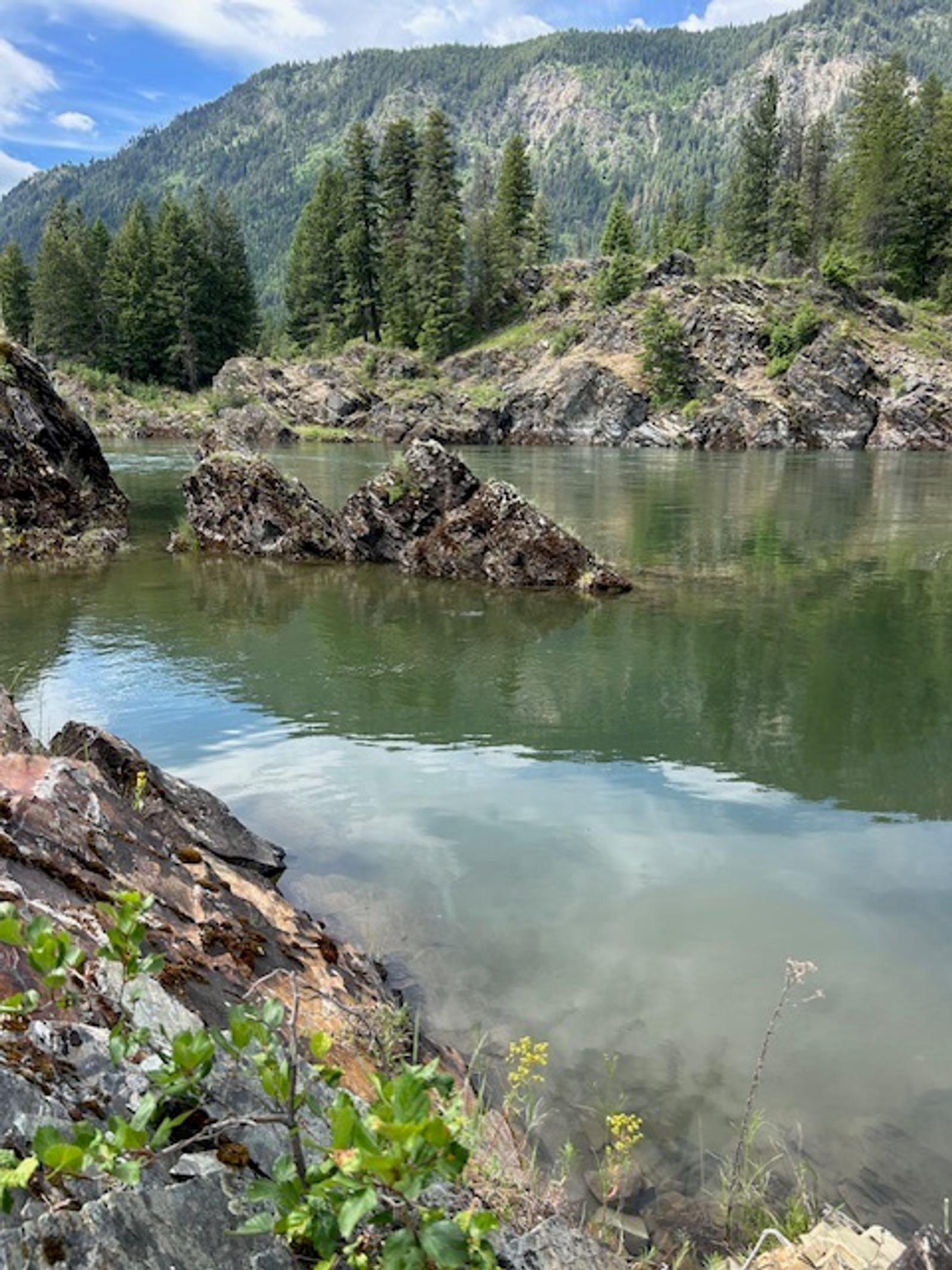A calm river flows through rocky terrain surrounded by pine trees and forested mountains under a partly cloudy sky.