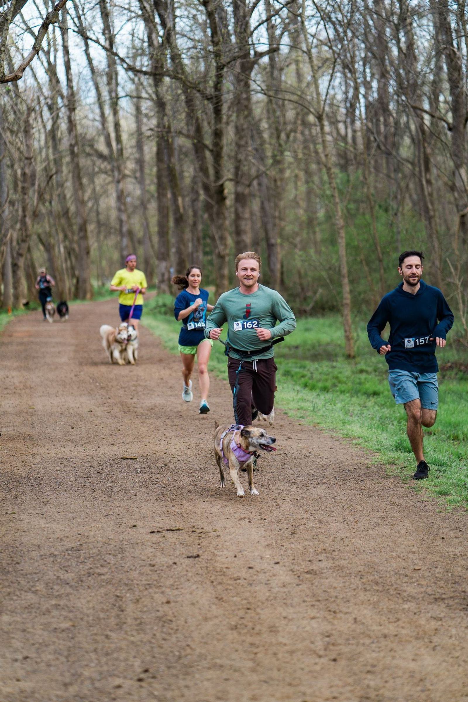 Runners jog along a forest trail during a race. Several participants are accompanied by dogs. The path is lined with bare trees and patches of grass. The scene conveys a sense of outdoor activity and camaraderie.