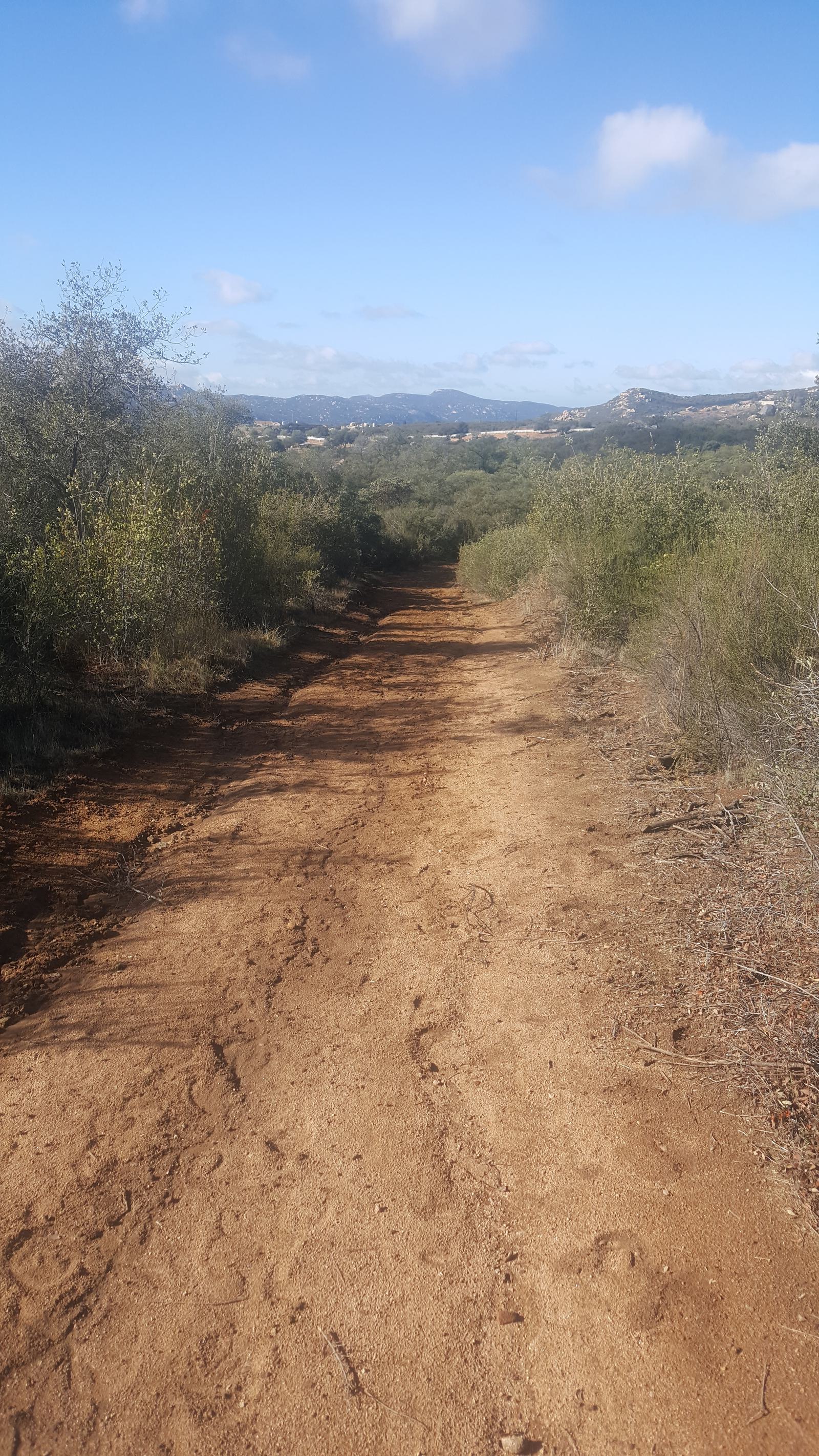 A dirt path surrounded by dense shrubs leads toward distant hills under a partly cloudy blue sky. The landscape is dry, with patches of green vegetation.