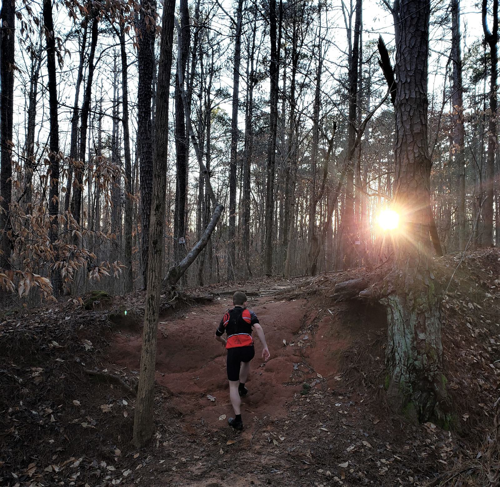 A person wearing a red and black outfit runs uphill on a dirt path in a forest. Bare trees surround the path, and the sun is partially visible through the branches, creating a sunburst effect.