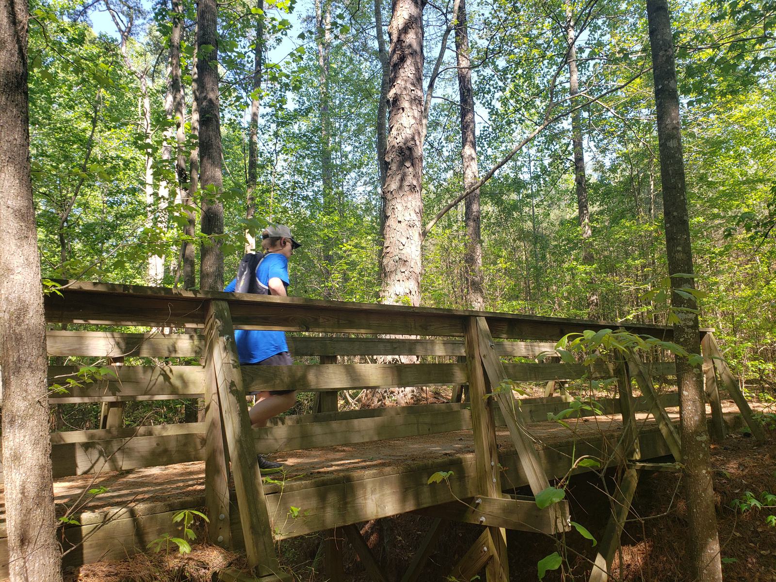 Person in a blue shirt and white hat walking across a wooden bridge in a lush, green forest. Sunlight filters through the trees, casting dappled shadows on the bridge and surrounding foliage.