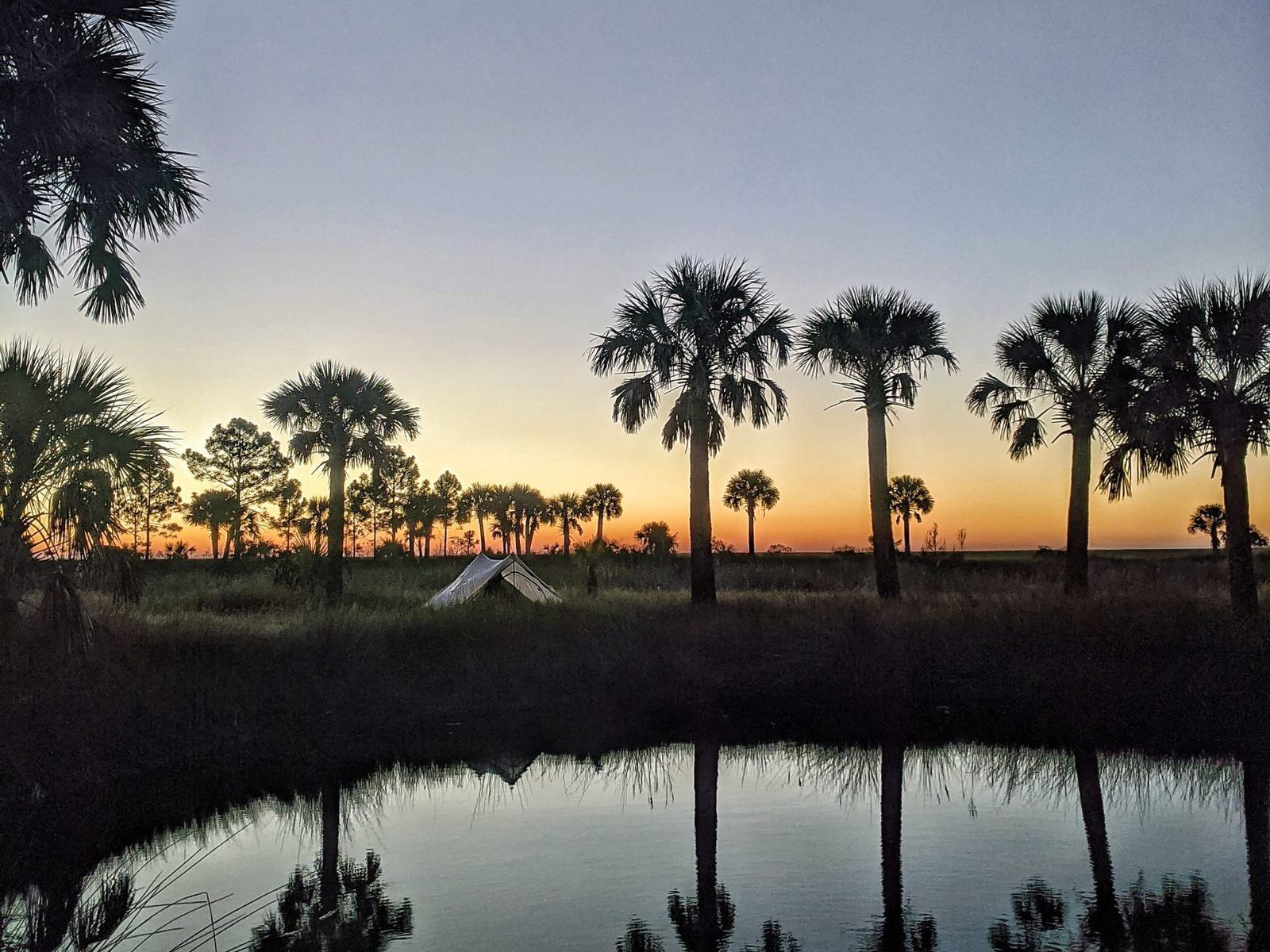 A serene landscape at sunset with a small tent nestled among tall palm trees. The sky is a blend of orange and purple hues, reflected in a calm, clear pond in the foreground. A tranquil scene with silhouettes of trees against the colorful sky.