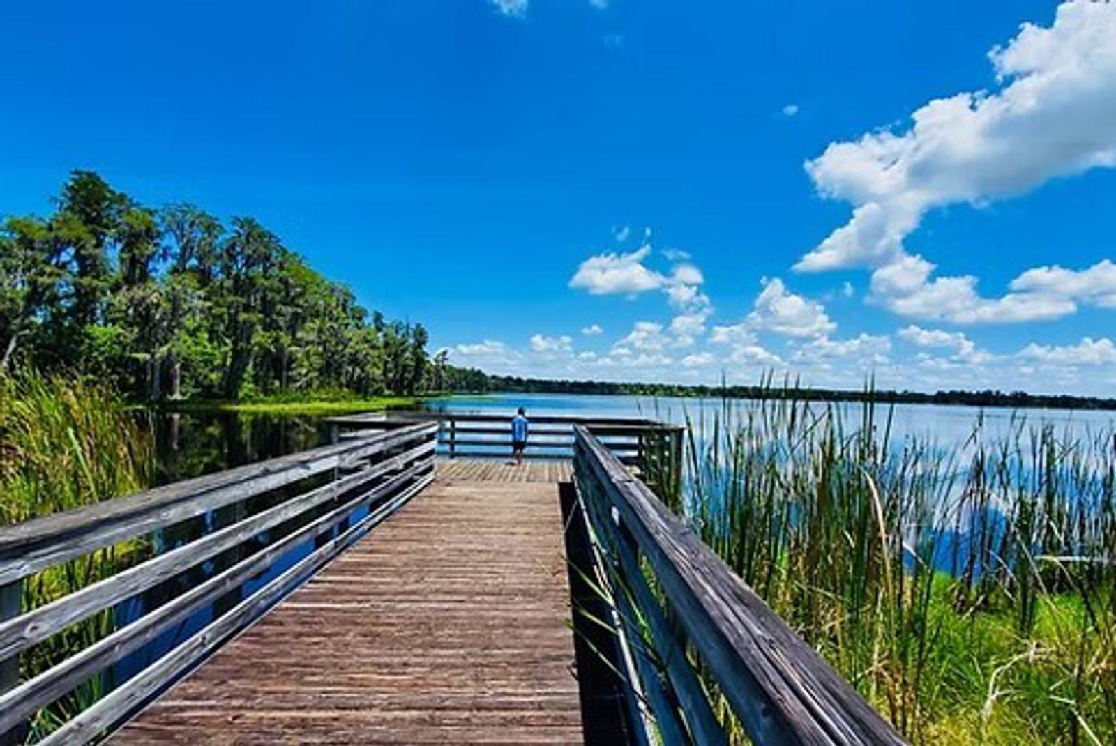A wooden boardwalk leads to a pier over a calm lake, surrounded by tall grasses and trees under a bright blue sky with scattered clouds; a person stands at the end of the pier looking at the water.