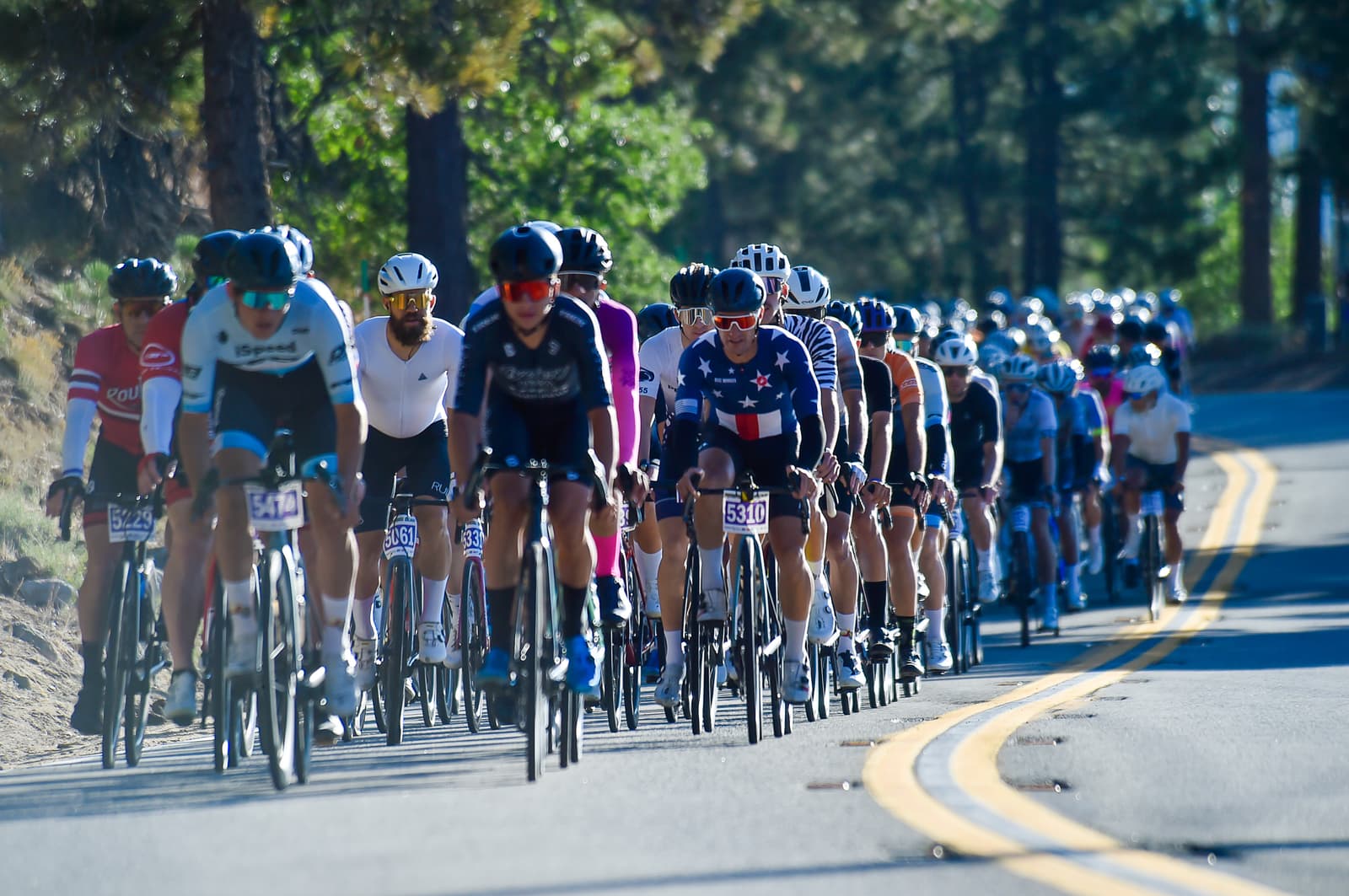 A large group of cyclists, wearing jerseys and helmets, ride closely together on a sunny, tree-lined road. The road curves to the left, and the cyclists are in motion, creating a sense of energy and movement.