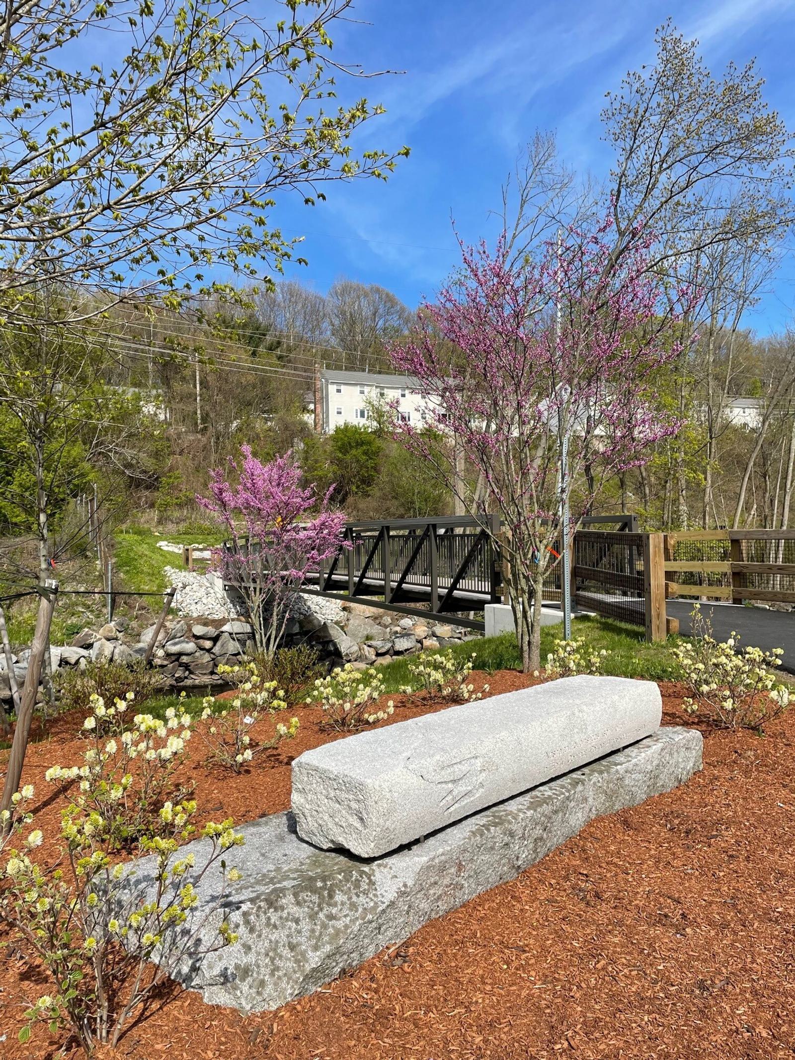 A stone bench in a park surrounded by mulch and small plants. Two blooming trees with pink flowers are nearby, and a black footbridge is in the background. The sky is clear and blue, with some buildings and trees in the distance.