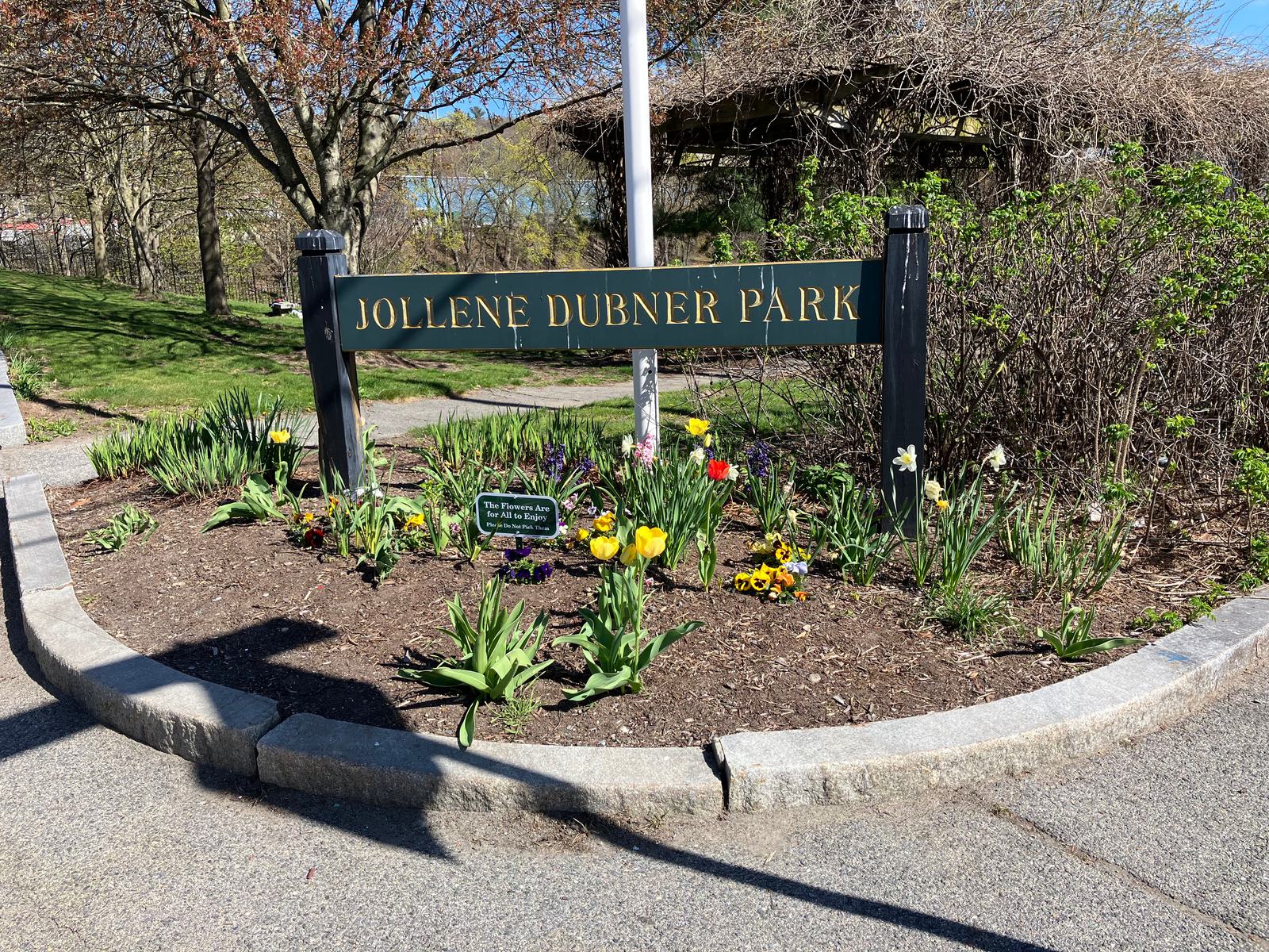 A small park sign reads "Jollene Dubner Park," surrounded by a flower bed filled with colorful tulips and daffodils. The area is bordered by a paved path, with trees and grass visible in the background.