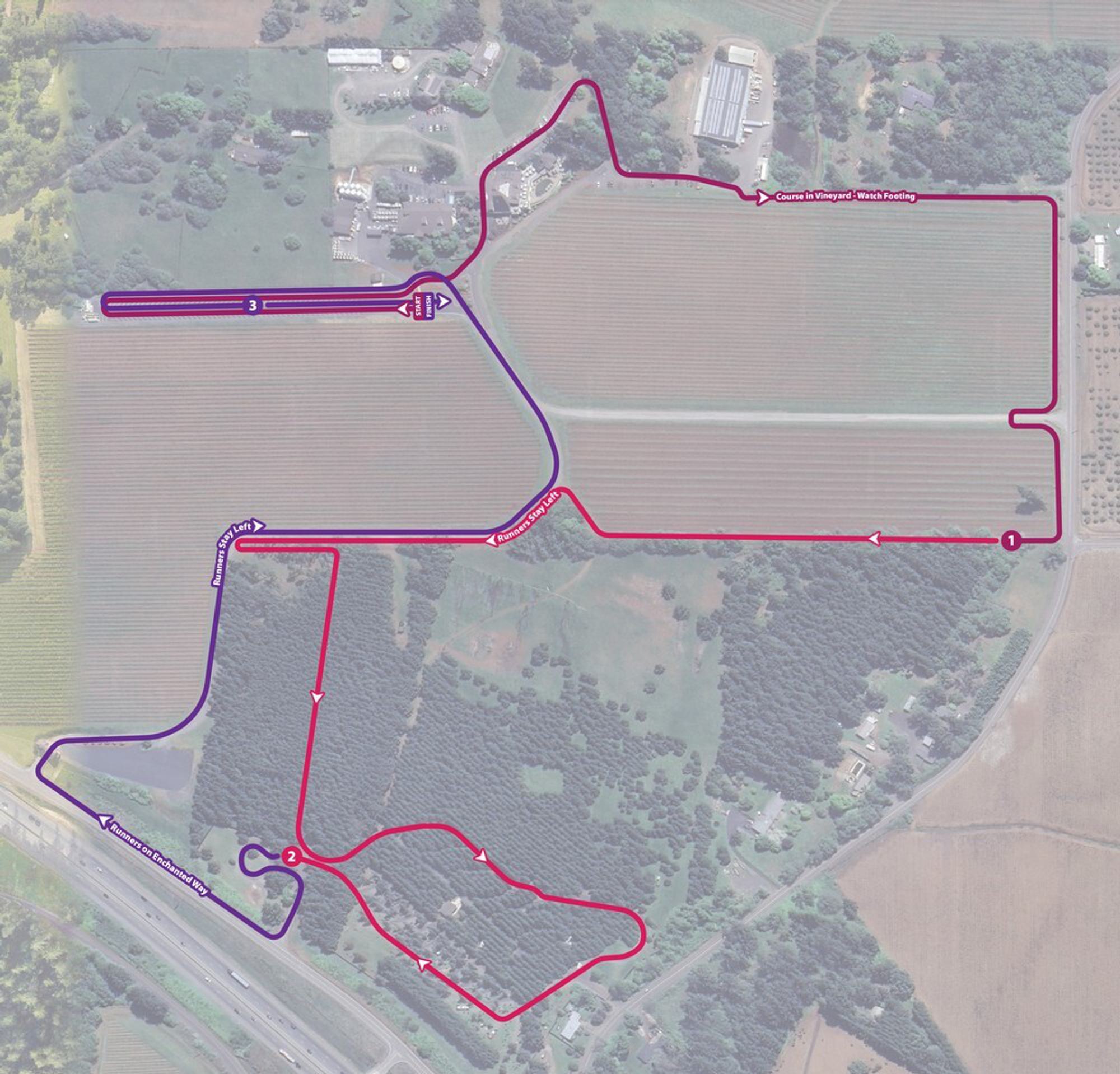 Run Willamette 5k & Kids 1k course map
