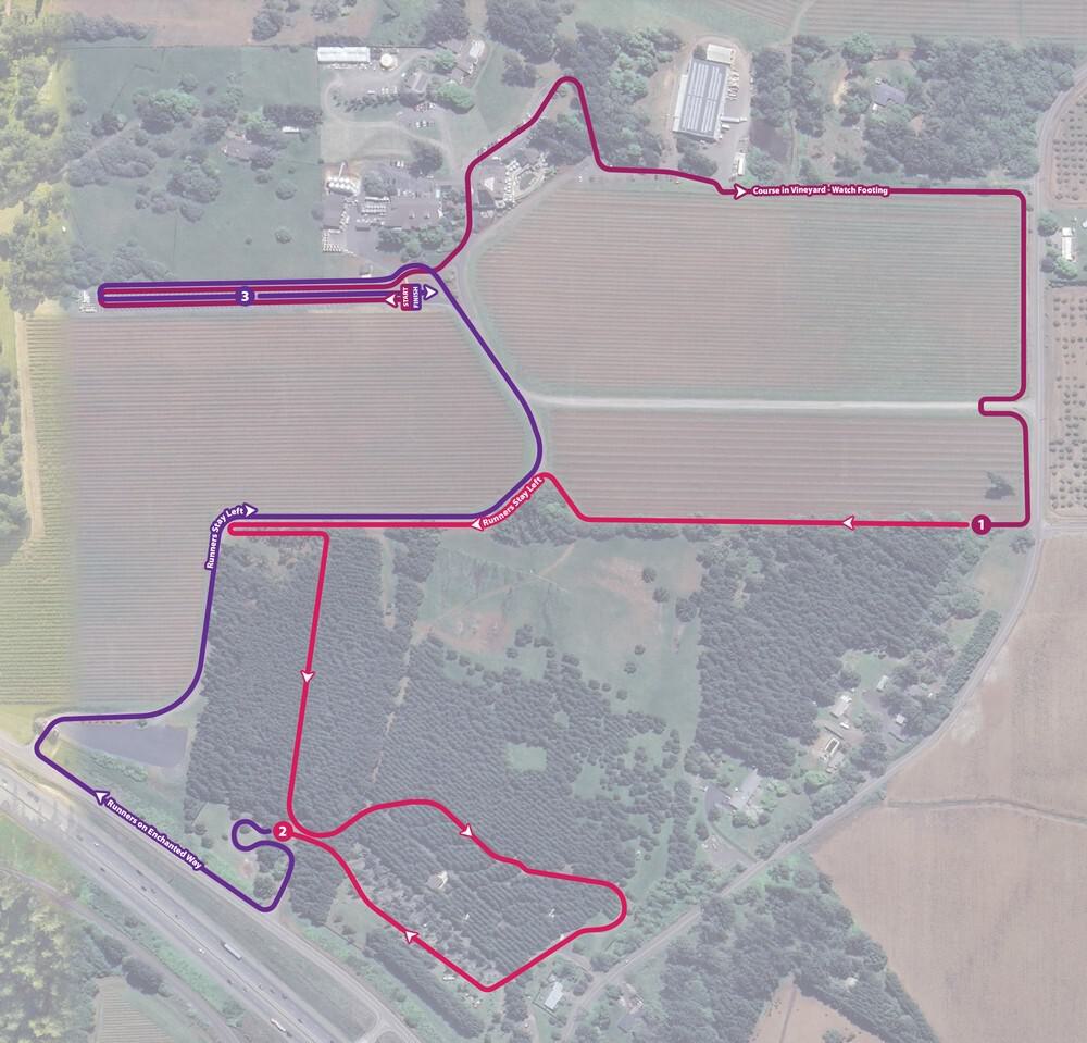 Aerial view of a road circuit map in rural terrain. The track is outlined in both red and purple, indicating different routes. Surrounding the circuit are fields, patches of forest, and a few buildings in the top section. Arrows mark the route direction.