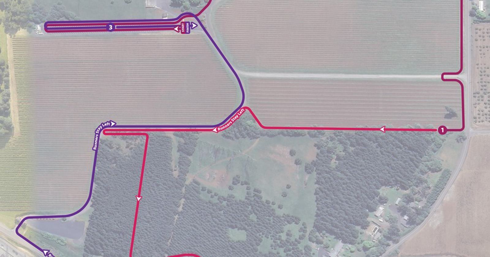 Run Willamette 5k & Kids 1k 2025 Sat 28 Jun Findarace