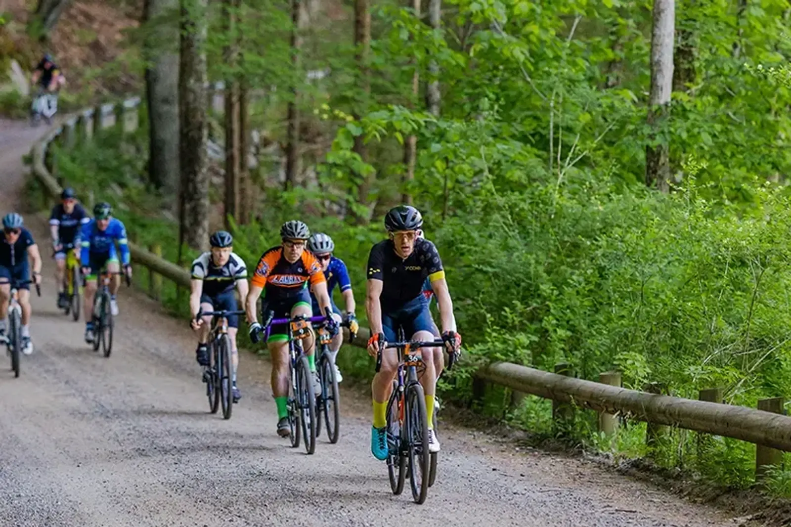 Cyclists riding on a gravel path through a lush, green forest. The leading cyclist wears a dark outfit, followed by others in colorful jerseys. A wooden railing runs alongside the path. Trees and dense foliage surround the riders.