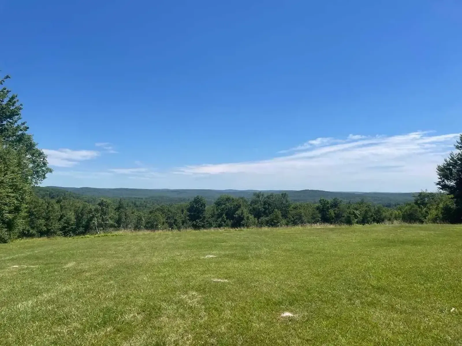 A wide grassy field with scattered trees borders a distant tree-covered horizon under a bright blue sky with a few wispy clouds.