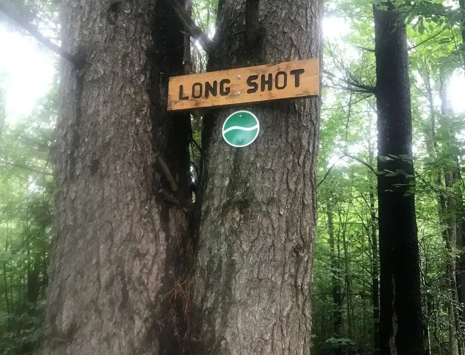 A wooden sign reading "LONG SHOT" and a green and white marker are attached to a large tree trunk in a forested area with tall trees and green foliage.