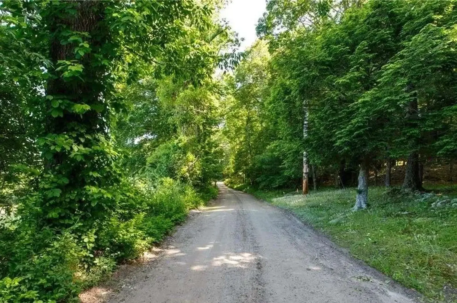 A narrow dirt path winds through a lush, green forest with tall trees and dense foliage on either side. Sunlight filters through the leaves, casting dappled shadows on the path. The scene conveys a serene, natural atmosphere.