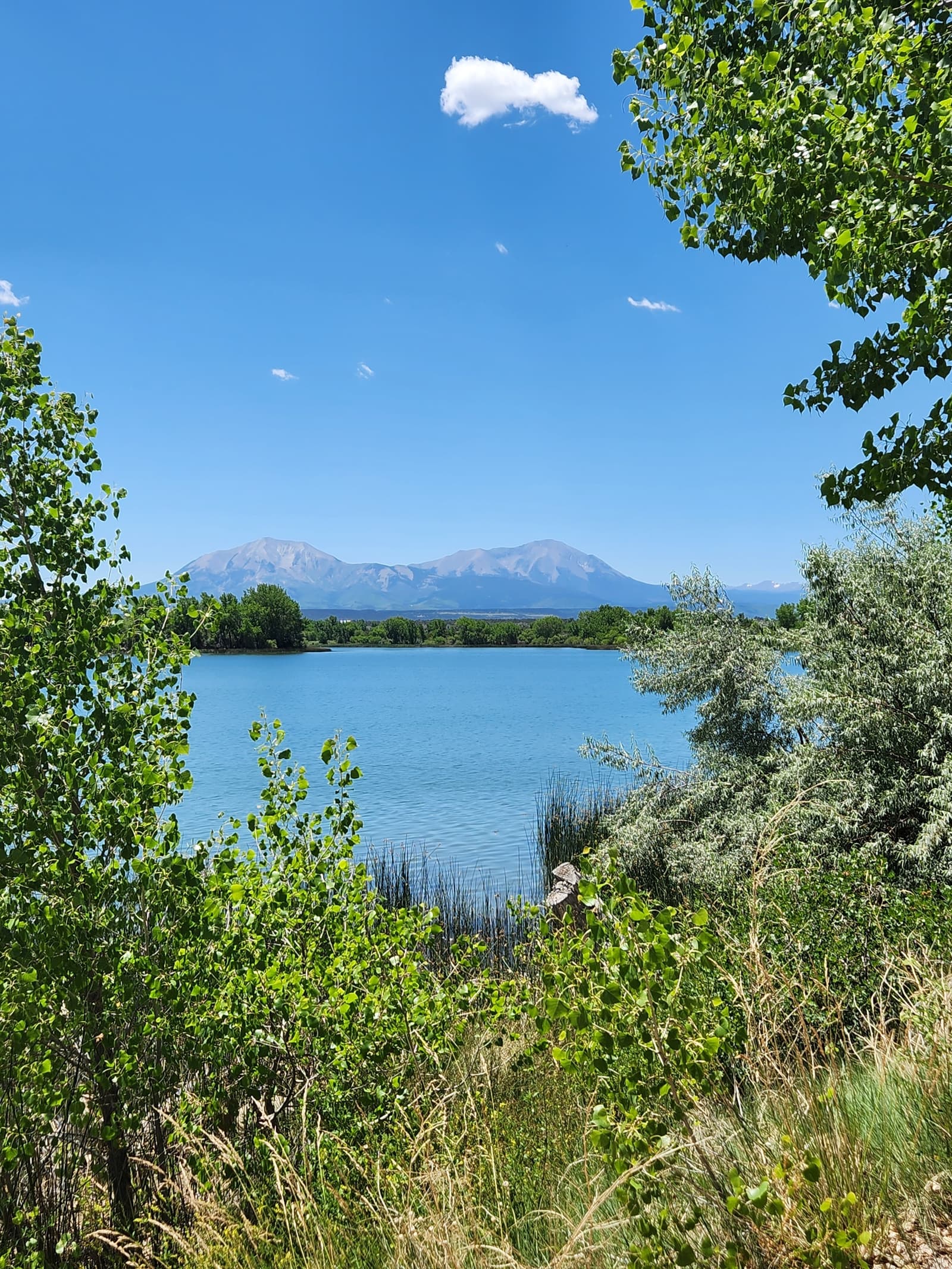 A serene blue lake surrounded by green trees and bushes, with distant mountains under a clear blue sky and a few white clouds.