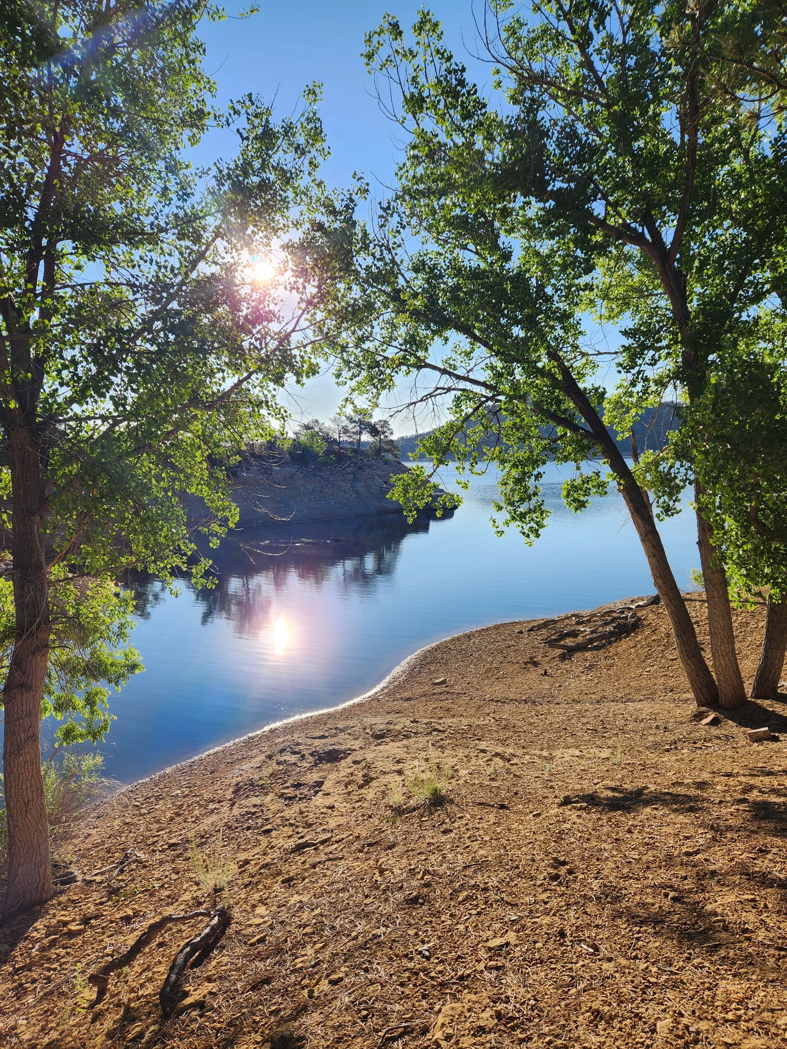 Sunlight filters through leafy trees onto a sandy lakeshore, creating reflections on the calm blue water. An island with trees is visible across the water under a clear sky.