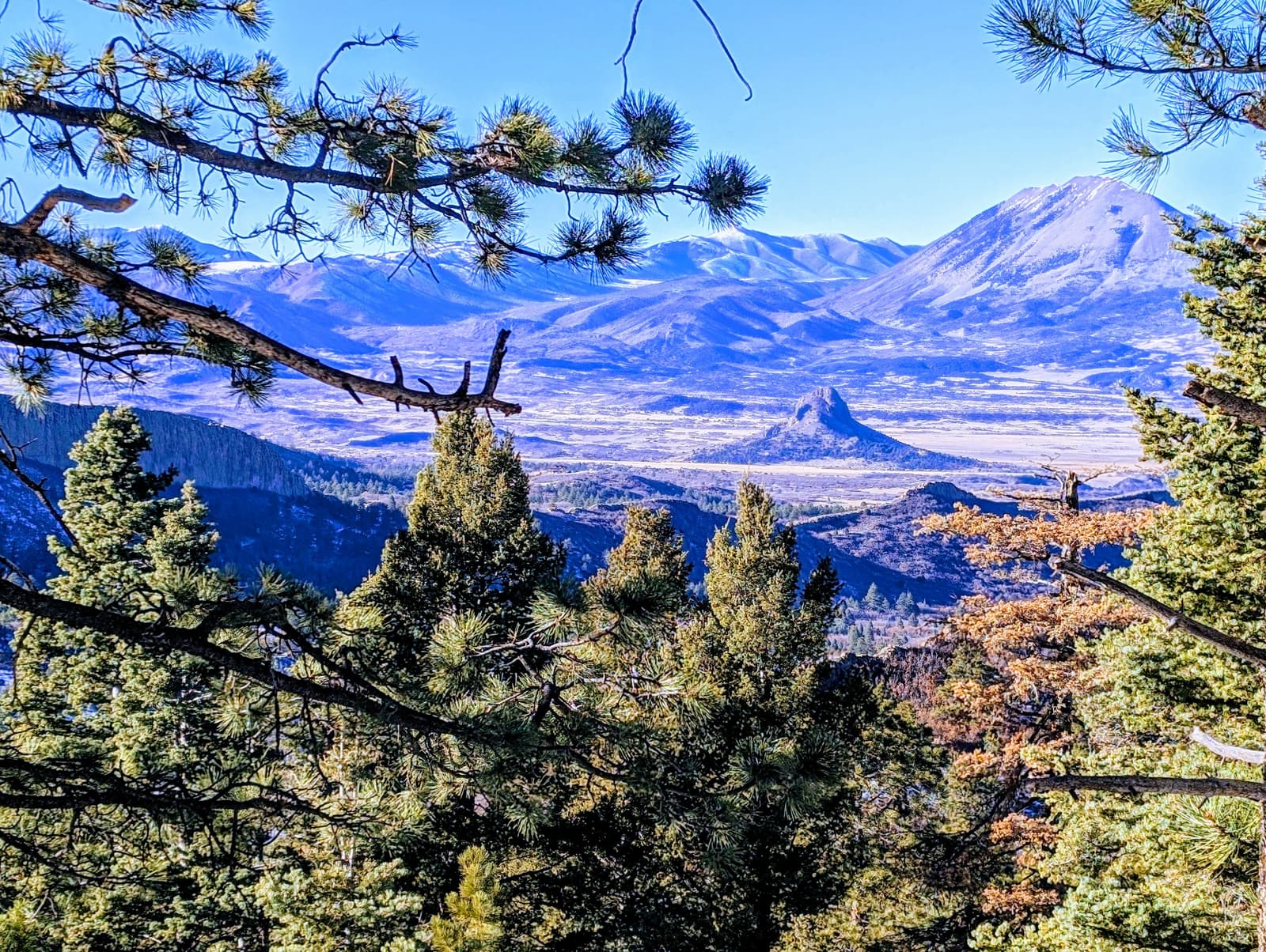 A scenic view of a mountain landscape with pine trees in the foreground, a valley in the middle ground, and rugged mountains in the background under a clear blue sky.