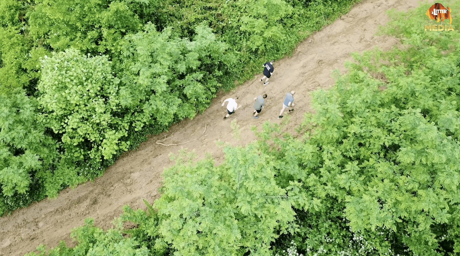 Aerial view of four people walking along a dirt path surrounded by dense green trees and foliage.