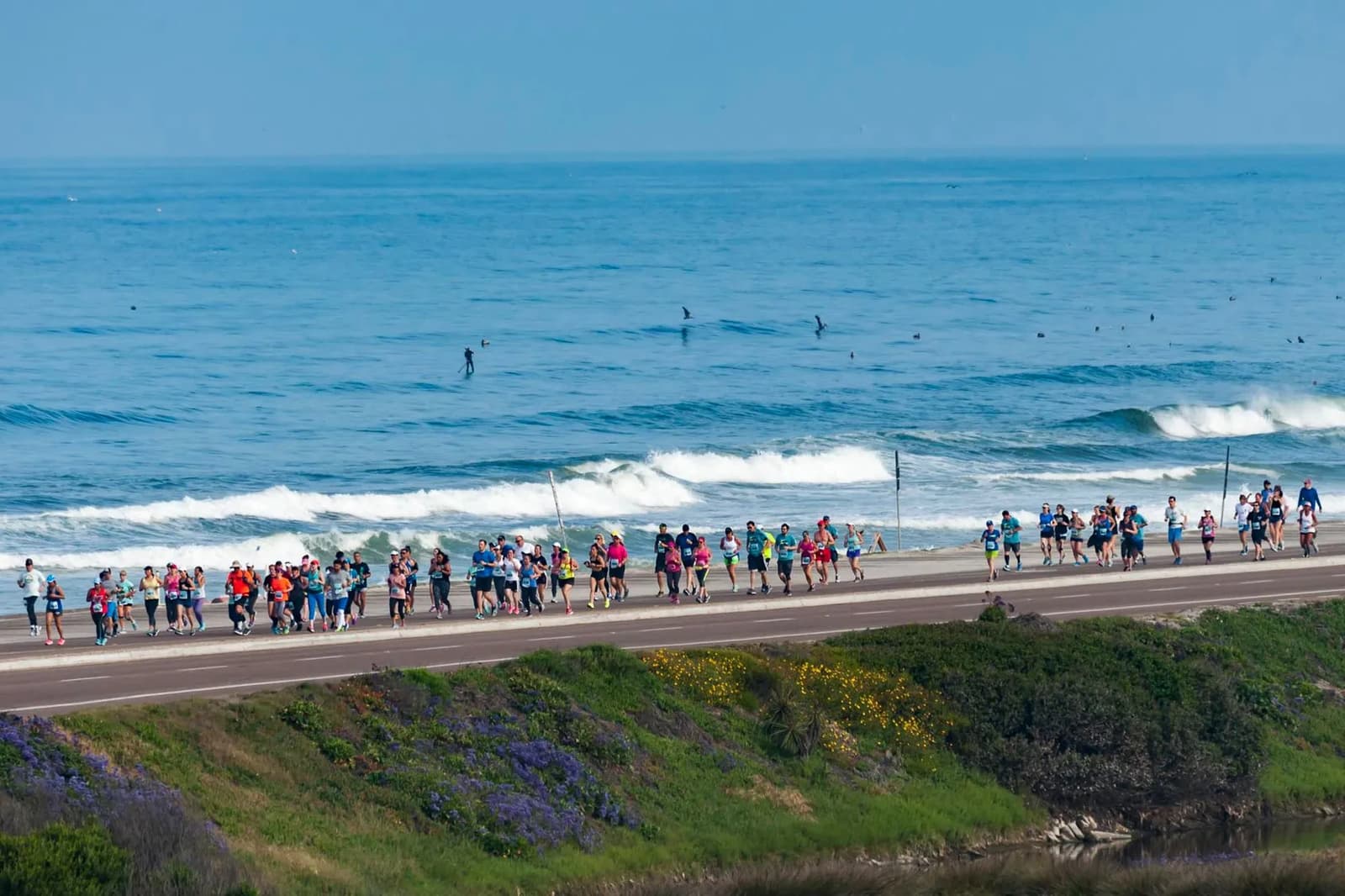 A group of runners participates in a marathon along a coastal road with ocean waves in the background. The sky is clear, and colorful flowers and greenery line the path.