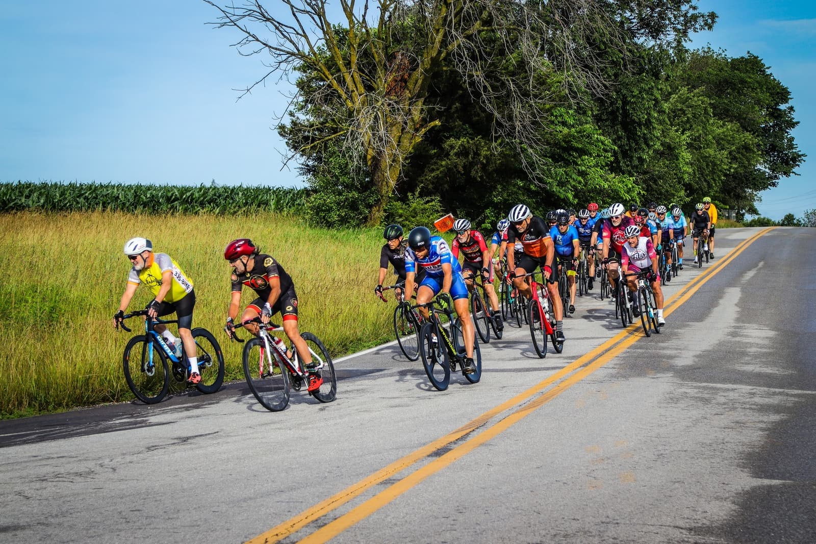 A group of cyclists in colorful gear rides together on a rural road lined with grass and trees under a blue sky.