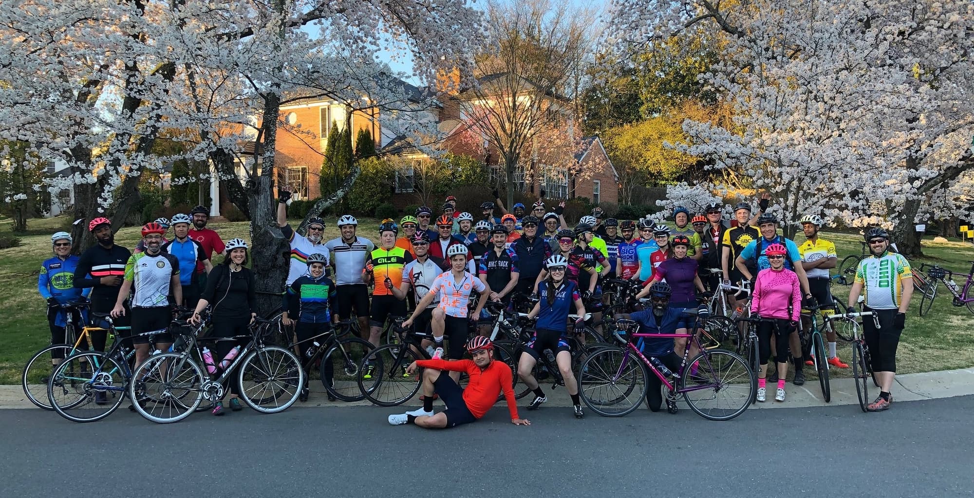 Potomac Pedalers header image