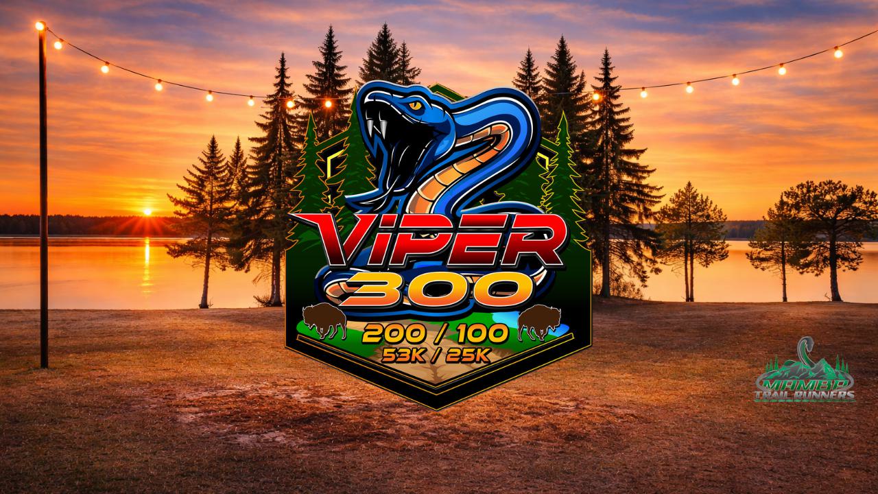 Viper 300 / 200 / 100 / 53k / 25k