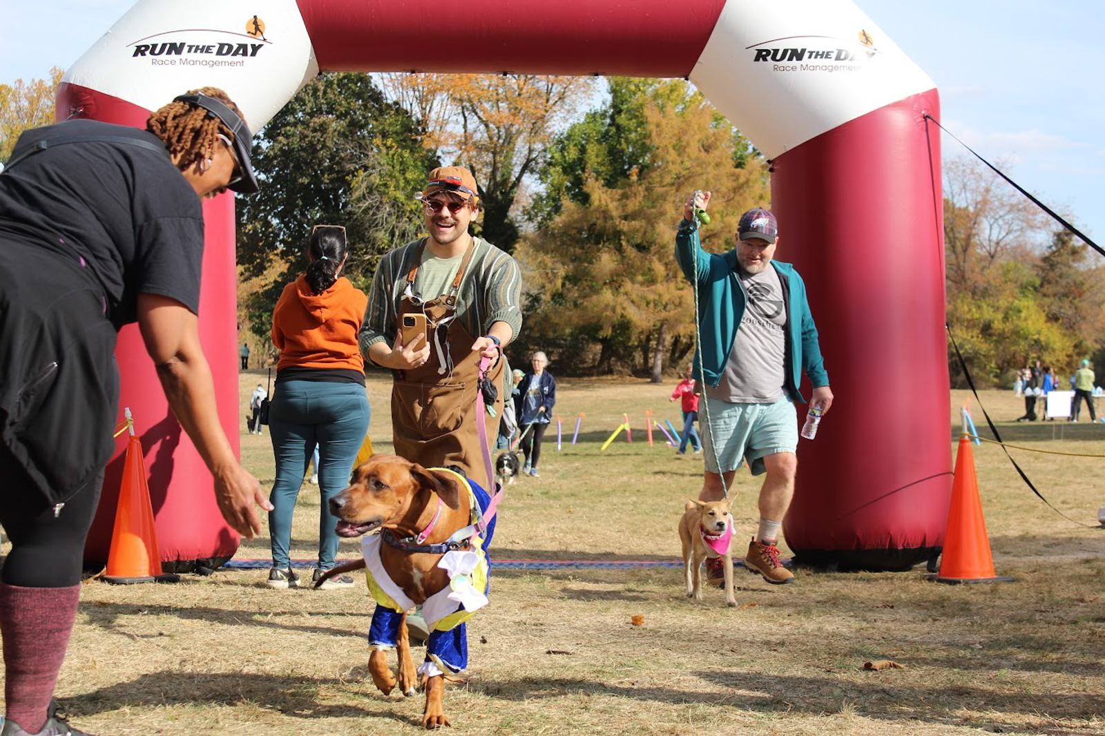 Two people walk their dogs, both in costumes, under a red inflatable arch at an outdoor event. One person high-fives an event staff member while others watch in the background on a sunny day.