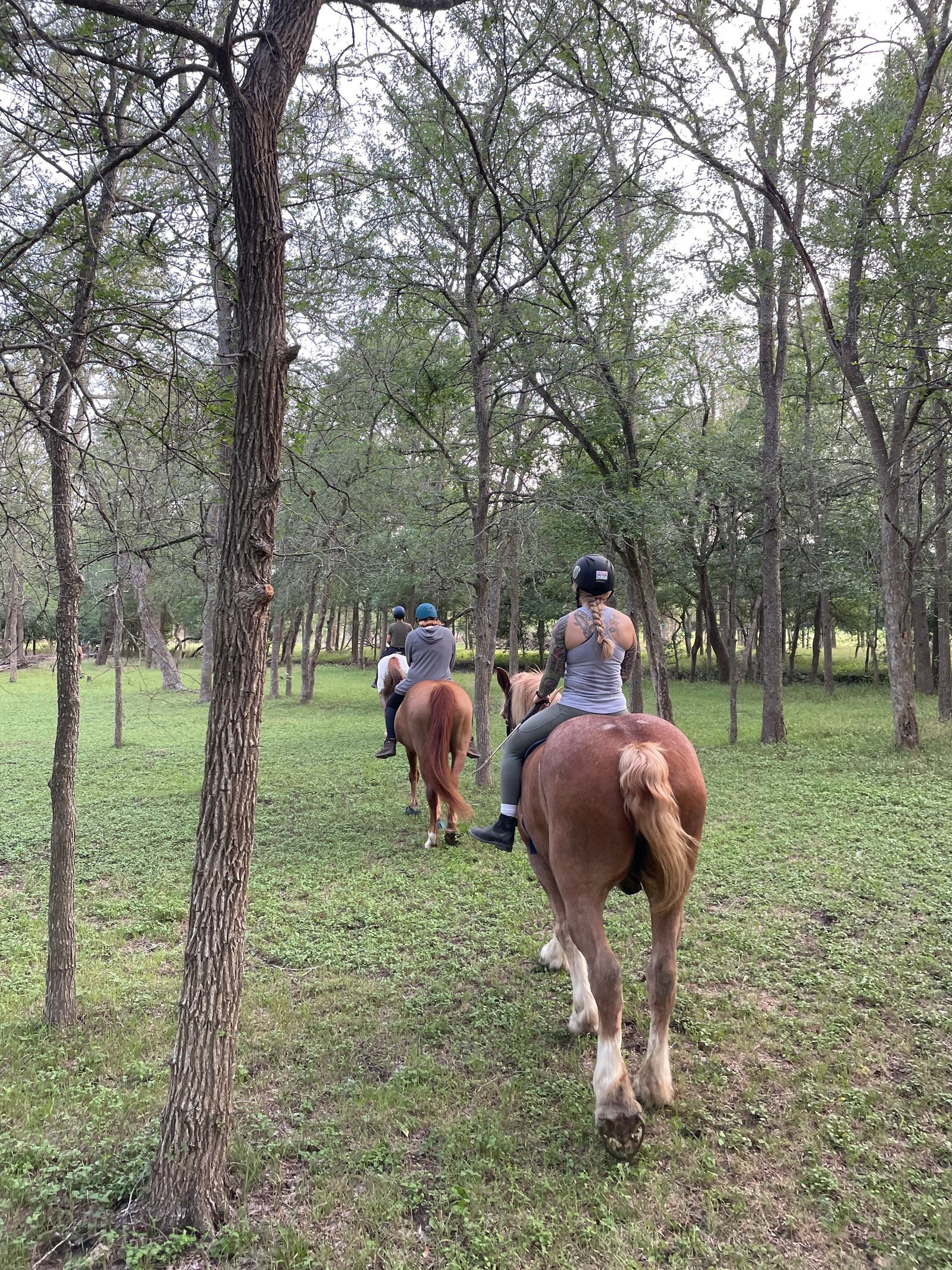 A group of people on horseback ride along a grassy trail through a wooded area, surrounded by trees under a cloudy sky.