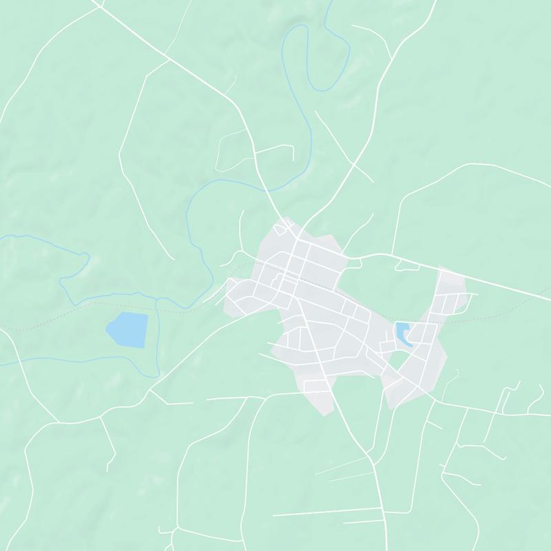 305 SW Branson Cir, Robbins, 27325, NC, United States map image