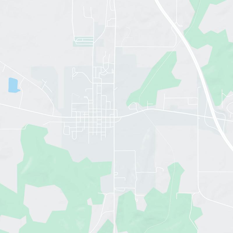 298 East Vine Street, Vienna, 62995, IL, United States map image