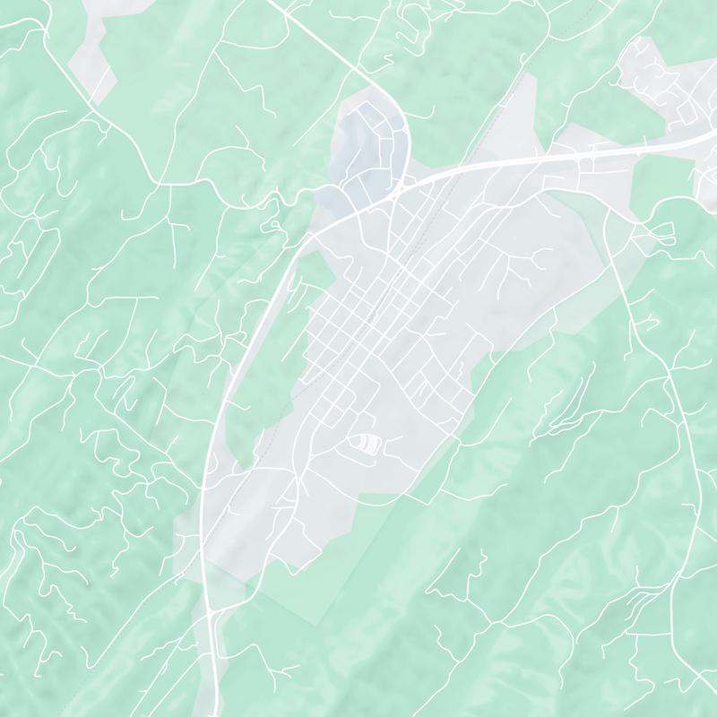 907 E Main St, Blue Ridge Park, Blue Ridge, 30513, GA, United States map image