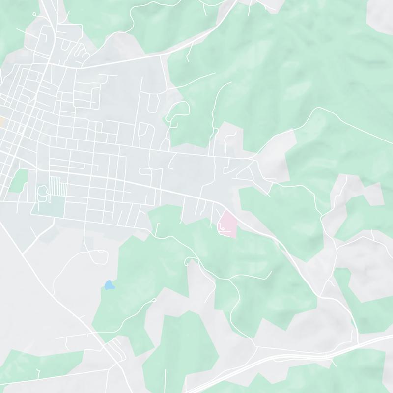 1218 E College St, Pulaski, 38478, TN, United States map image