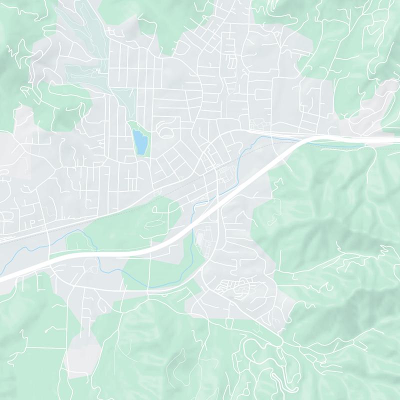 304 Black Mountain Ave, Black Mountain, 28711, NC, United States map image