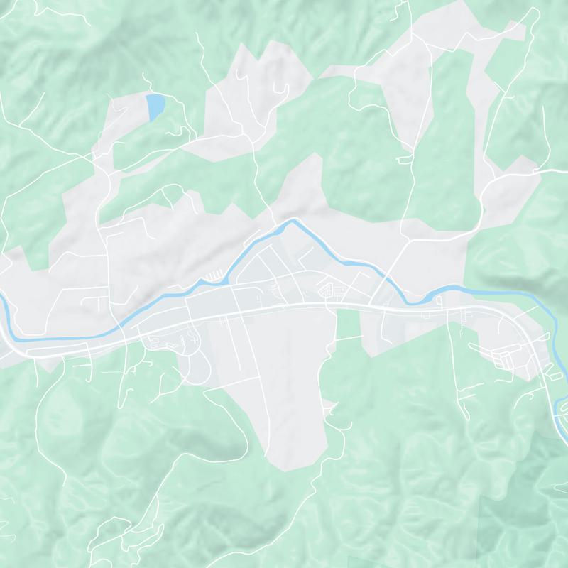 7967 E Lamar Alexander Parkway, Townsend, 37882, TN, United States map image