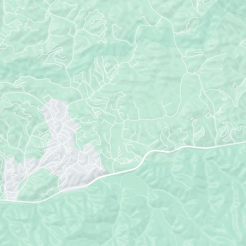 309 Mills Park Rd, Gatlinburg, 37738, TN, United States map image