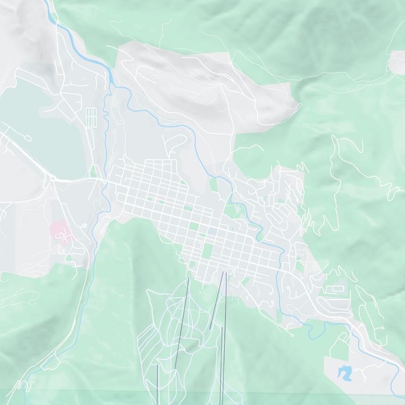 110 E Hallam Street, Aspen, 81611, CO, United States map image