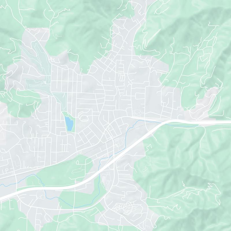 301 East State Street, Black Mountain, 28711, NC, United States map image