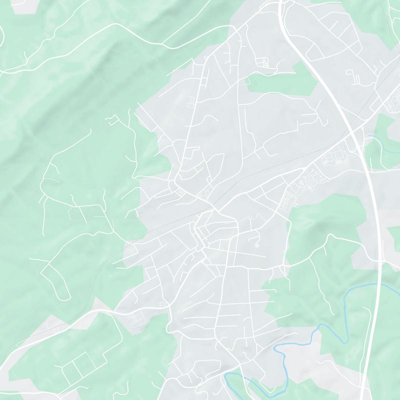 433 NORTH MAIN STREET, Rocky Mount, 24151, VA, United States map image