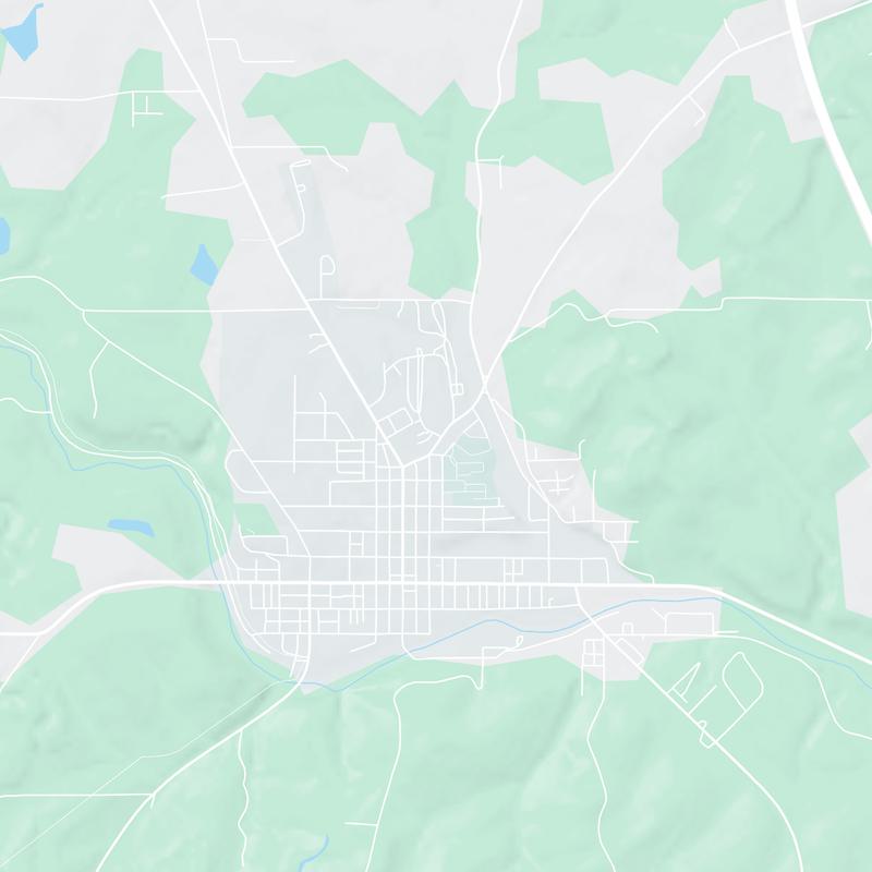 225 Lee Ave., Lisbon, 44432, OH, United States map image