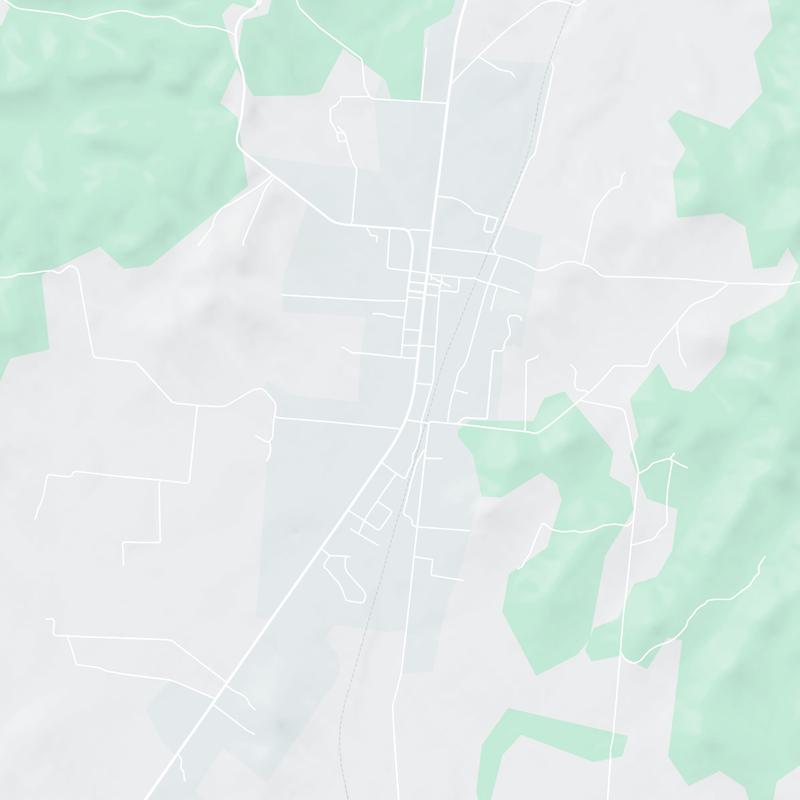 323 S Main St, Cornersville, 37047, TN, United States map image