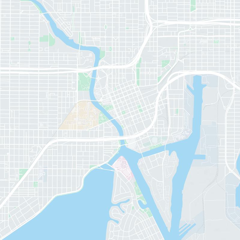 Tampa, Florida map image