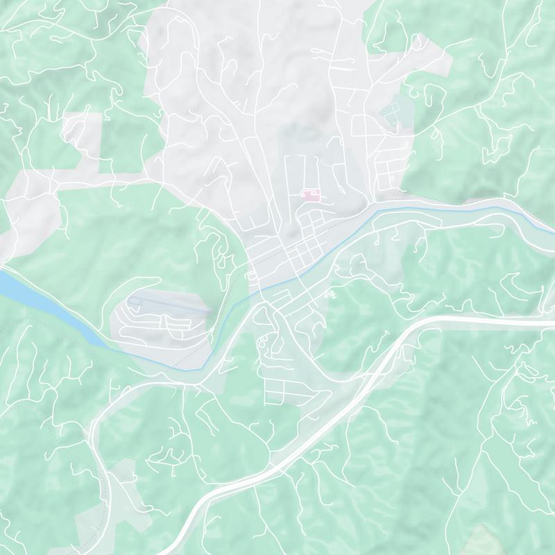 101 Mitchell St, Bryson City, 28713, NC, United States map image