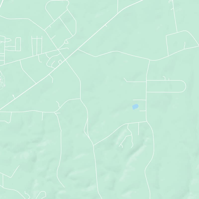 1037 Trice Cemetery Rd, Thomaston, 30286, GA, United States map image