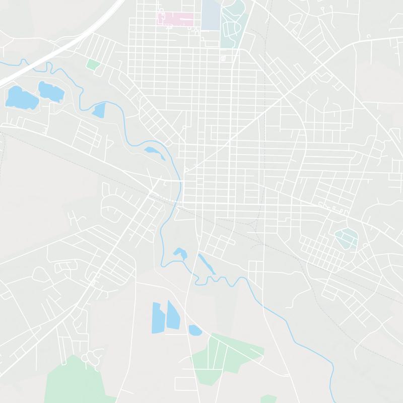 201 N Chestnut St, Lumberton, 28358, NC, United States map image