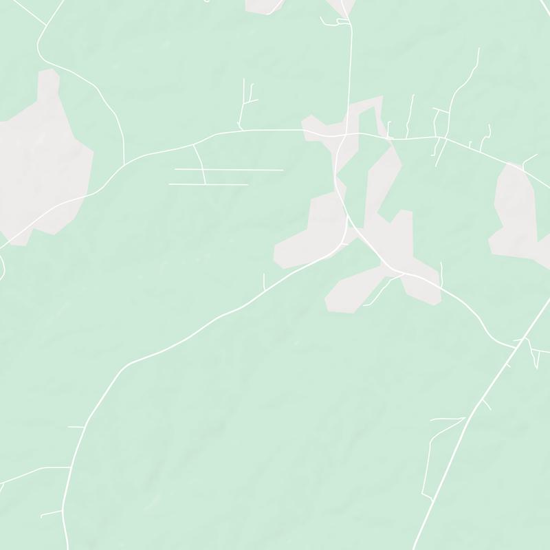 228 Capps Farm Road, Hollister, 27844, NC, United States map image