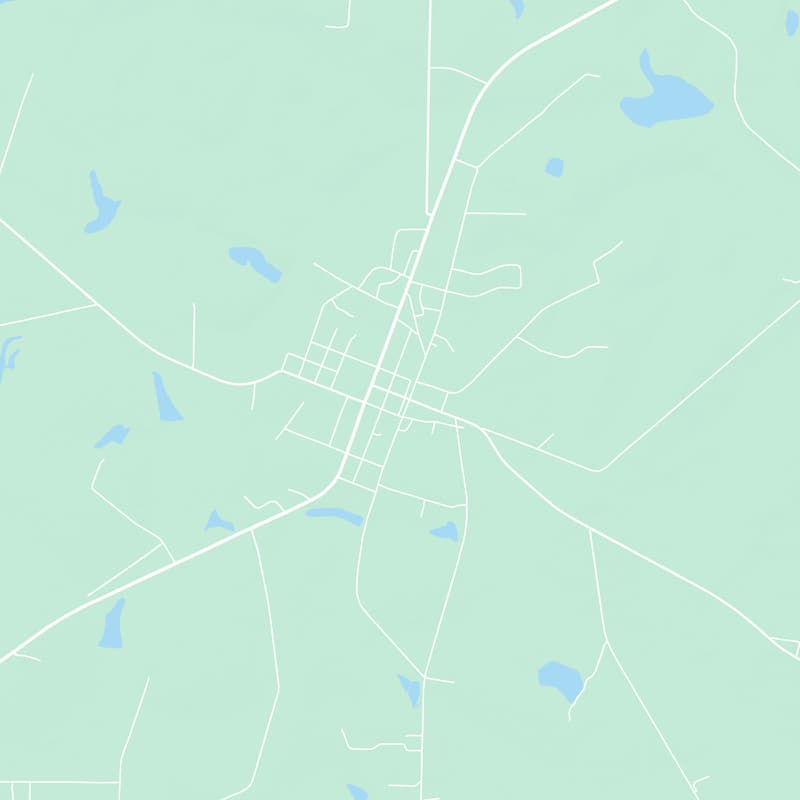 160 E Broad St, Norman Park, 31771, GA, United States map image