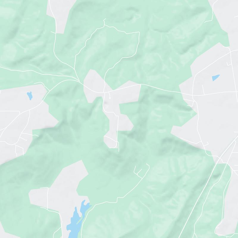 401 Parks Rd, Grant, 35747, AL, United States map image